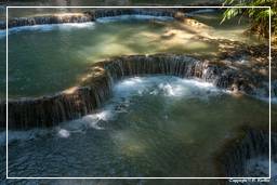 Tat Kuang Si Wasserfälle (103)