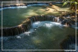 Tat Kuang Si Wasserfälle (104)