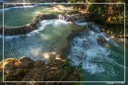 Tat Kuang Si Wasserfälle (107)