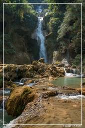 Tat Kuang Si Wasserfälle (128)