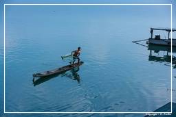 Isla Don Khong (299) Pescados a la plancha