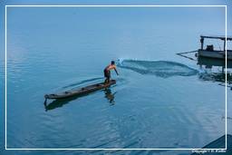 Isla Don Khong (306) Pescados a la plancha