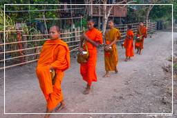Ilha Don Khong (540) Esmolas para os monges