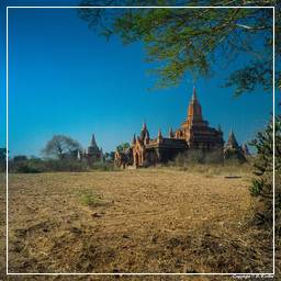 Birmanie (316) Bagan