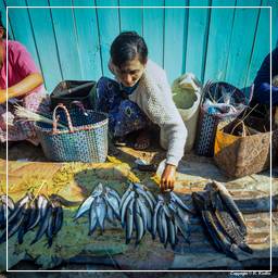 Birmanie (576) Inle - Marché aux poissons