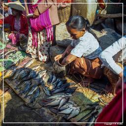 Birmanie (577) Inle - Marché aux poissons