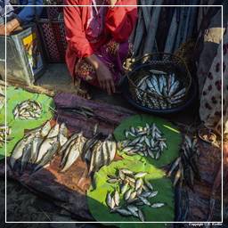 Birmanie (579) Inle - Marché aux poissons