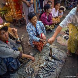 Birmanie (581) Inle - Marché aux poissons
