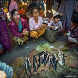 Birmanie (582) Inle - Marché aux poissons