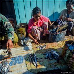 Birmanie (585) Inle - Marché aux poissons