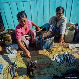 Birmanie (586) Inle - Marché aux poissons