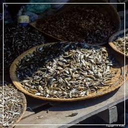 Birmanie (599) Inle - Marché aux poissons