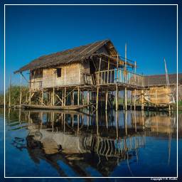 Birmanie (614) Lac Inle