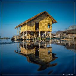 Birmanie (615) Lac Inle