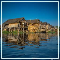 Birmanie (617) Lac Inle