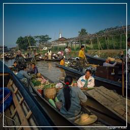 Birmania (637) Inle - Mercado flotante