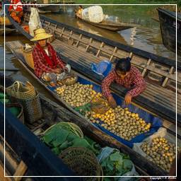 Birmania (647) Inle - Mercado flotante