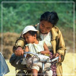 Birmanie (99) Mandalay