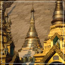 Birmanie (49) Shwedagon