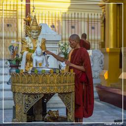 Birmanie (50) Shwedagon