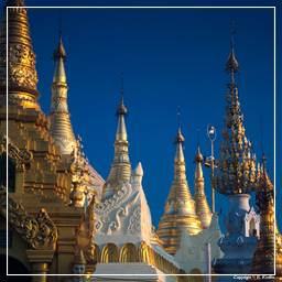 Birmanie (76) Shwedagon