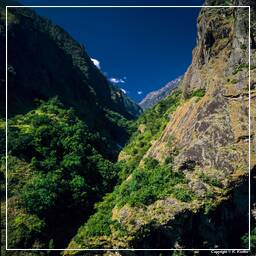 Tour des Annapurnas (74)