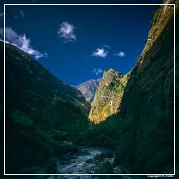 Tour des Annapurnas (75)
