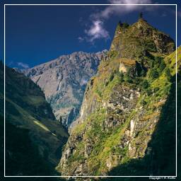 Tour des Annapurnas (76)