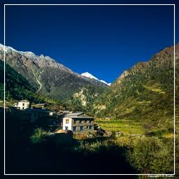 Tour des Annapurnas (78) Bagarchhap