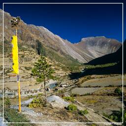 Tour des Annapurnas (105) Pisang (3 190 m)
