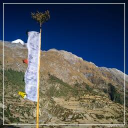Tour des Annapurnas (106) Pisang (3 190 m)
