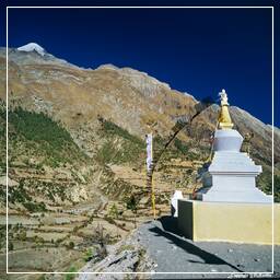 Tour des Annapurnas (108) Pisang (3 190 m)