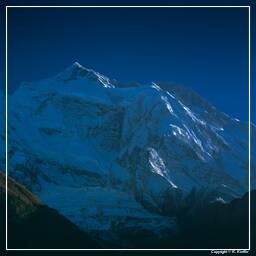Tour des Annapurnas (113) Annapurna II (7 937 m)