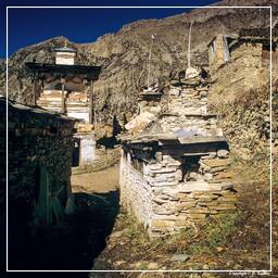 Annapurna Fernwanderweg (131) Gyaru