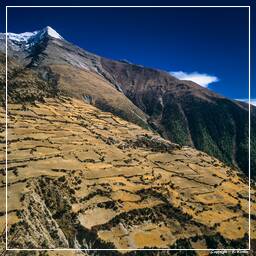 Annapurna Fernwanderweg (133) Nawal