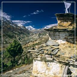 Tour des Annapurnas (135) Nawal