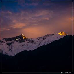 Tour des Annapurnas (148) Annapurna II (7 937 m) and III