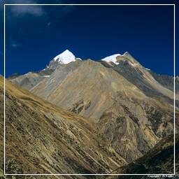 Tour des Annapurnas (177)
