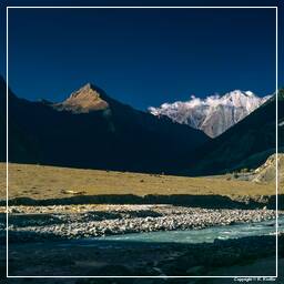 Tour des Annapurnas (225) Jomsom