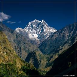 Tour des Annapurnas (266) Nilgiri (7,061 m)