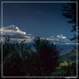 Tour des Annapurnas (275) Dhaulagiri (8 167 m)