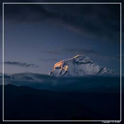Tour des Annapurnas (277) Dhaulagiri (8 167 m)