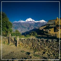 Tour des Annapurnas (278) Chitre