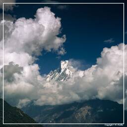 Tour des Annapurnas (284) Machapuchare (6 997 m)