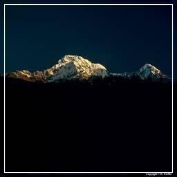 Tour des Annapurnas (291) Ghandruk