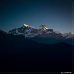 Tour des Annapurnas (298) Landruk