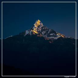 Tour des Annapurnas (301) Dhampus