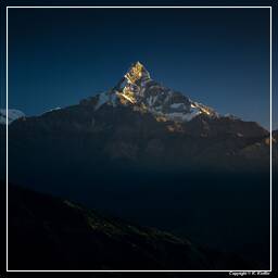 Tour des Annapurnas (303) Dhampus