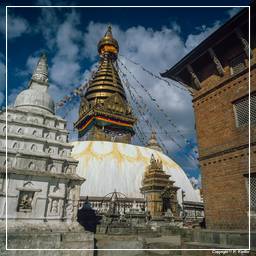 Vallée de Katmandou (124) Swayambhunath