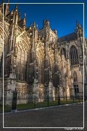 ’s-Hertogenbosch (3) Cattedrale di San Giovanni Evangelista